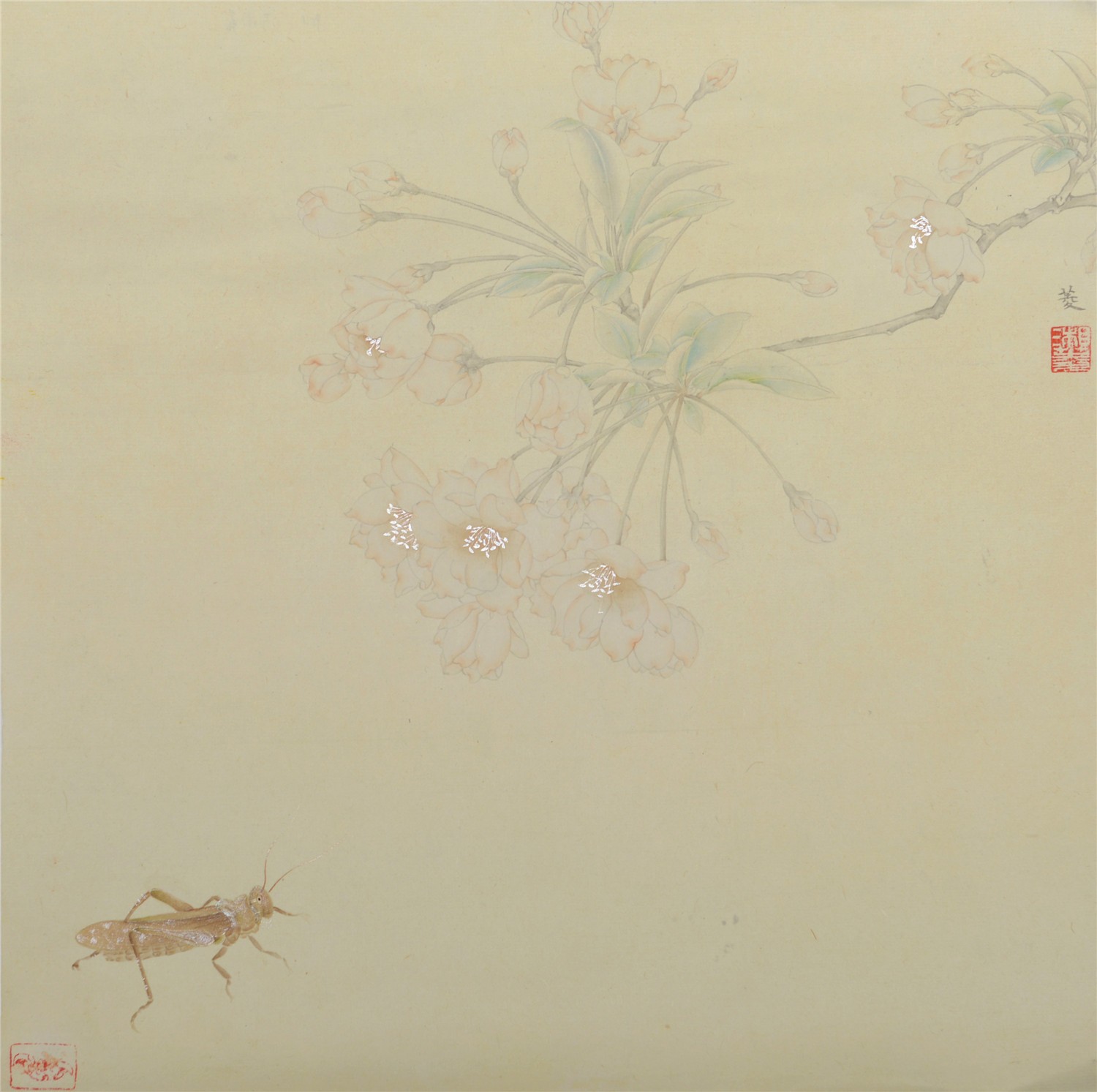 闻香3	